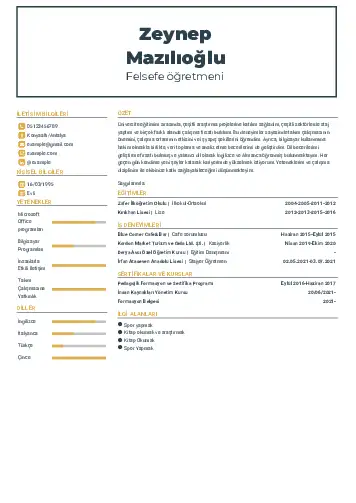 Felsefe Öğretmeni CV Örnekleri cv indir